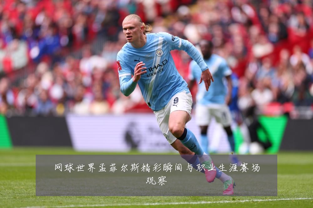 网球世界孟菲尔斯精彩瞬间与职业生涯赛场观察